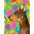 Doberman (brun et beige) sélectionné