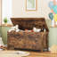 Maurine Blanket Chest-1497304429