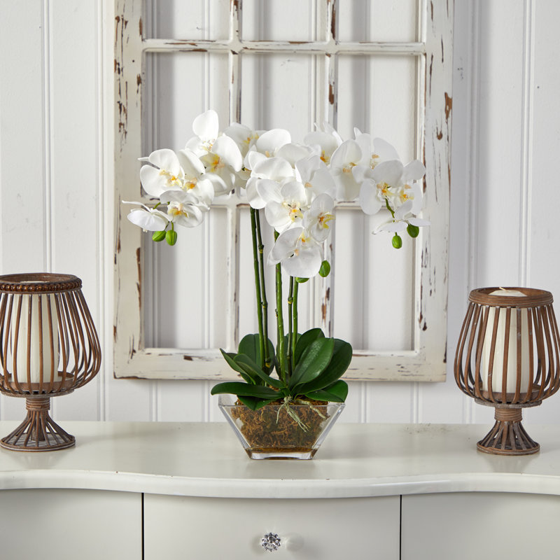 Orchid Arrangement in Vase, 22" H