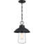 Luminaire suspendu d'extérieur 1 lumière Capsicum
