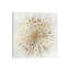 Golden Star by Tom Reeves - Wrapped Canvas Painting-270954975
