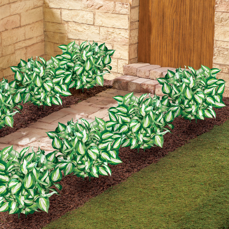 Hosta Arrangement