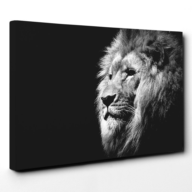 Wrapped Canvas Print, 35cm H x 50cm W