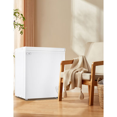 40 Cubic Feet Freezer with Adjustable Temperature Controls