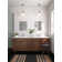 15'' W x 19'' H Recessed Frameless Medicine Cabinet with Mirror and 1 Adjustable Shelf