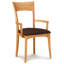 Ingrid Upholstered Arm Chair-22354361-59696585