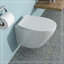 Cuvette de toilette murale avec siège à fermeture douce, blanc