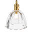 1 - Light Pendant-1114762699