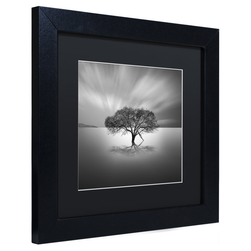 « water tree viii », reproduction de photo sur toile encadrée, H 11 po x l 14 po x P 0,5 po, Noir