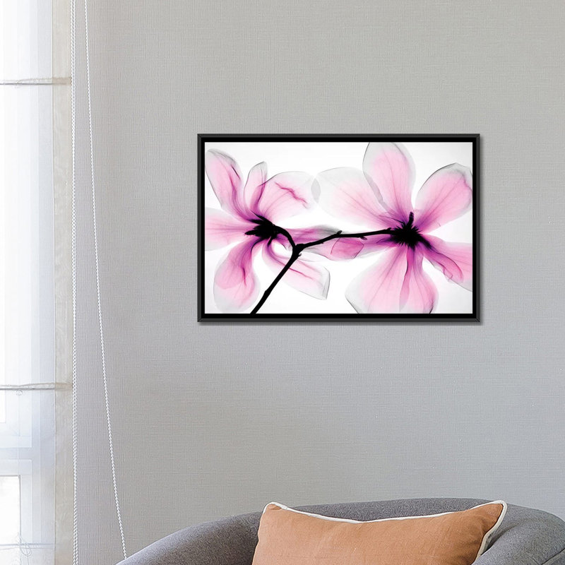 «Magnolias II» par Hong Pham - reproduction de photo, H 18 po x l 26 po x P 1,5 po, Toile tendue, Pas de tapis