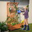 Pachl Vertical Garden with Trellis
