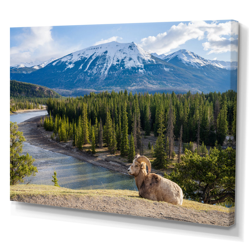 Faune sauvage, paysage de l'Alaska II, H 30 po x l 40 po x P 1,5 po, Toile tendue