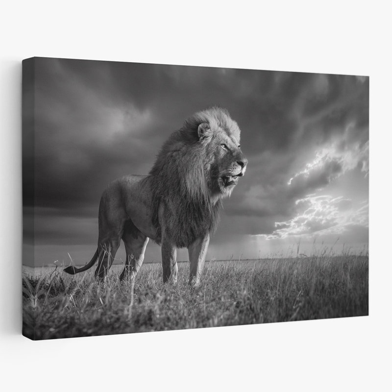 Egger – SavannaLion, 16" H x 24" W