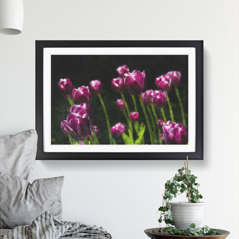 Pink Tulip Flowers - Framed Print, 48cm H x 65cm W x 2cm D, Black Framed