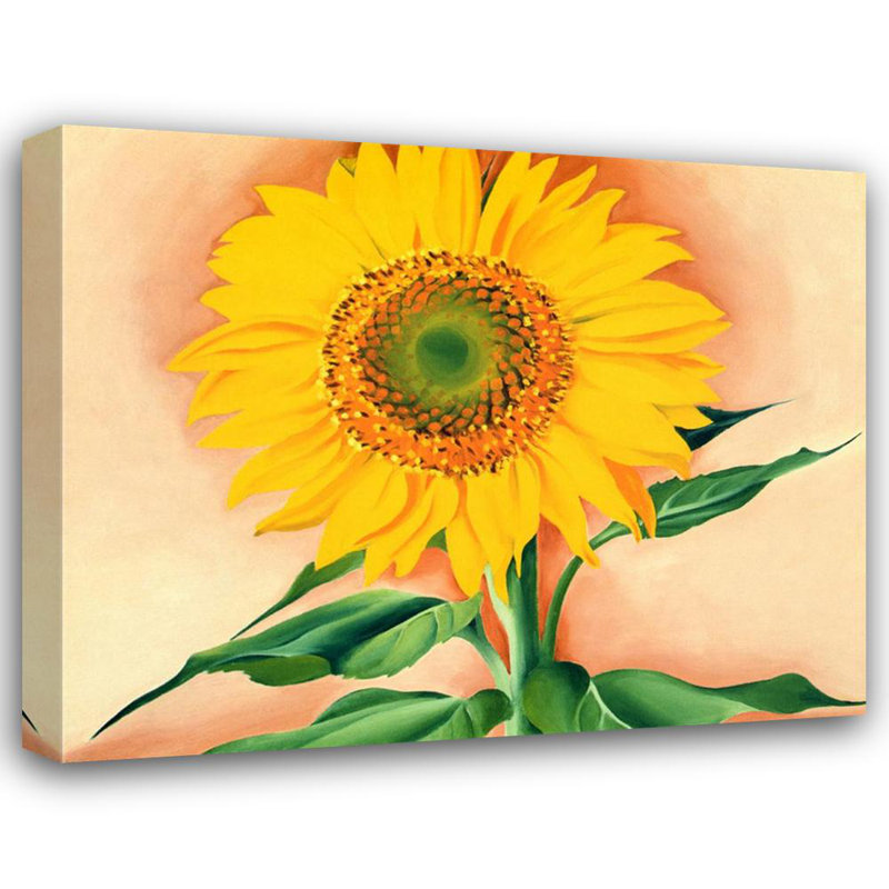 Un tournesol de Maggie, 1937, H 14 po x l 18 po