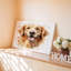 Reproduction d'art sur toile Golden Retriever Dog-129643614