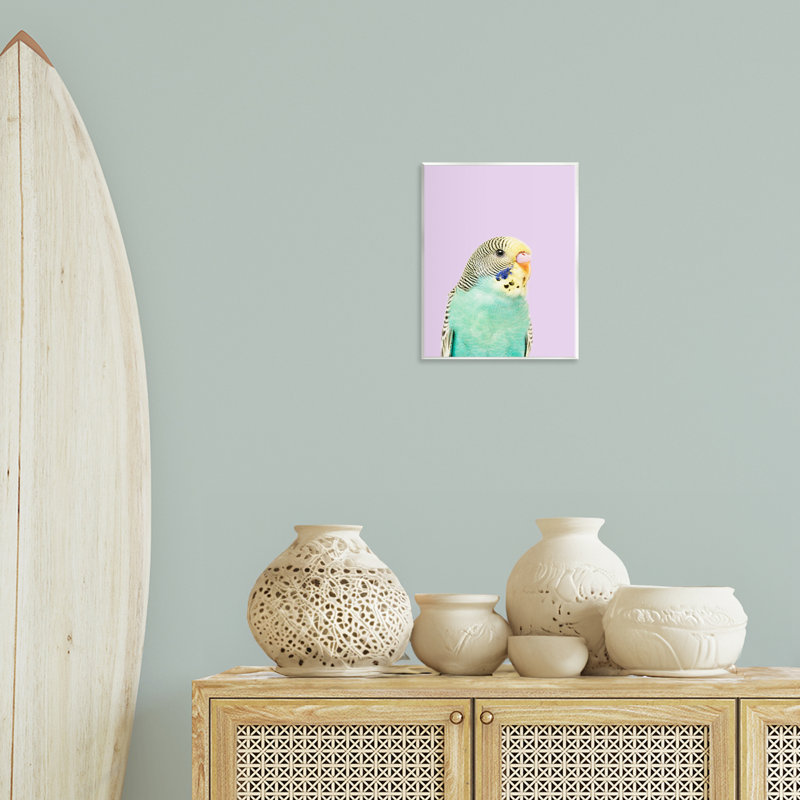 «Pastel Budgie Bird» par Sissi et Seb