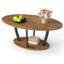 Petite table basse rustique ovale avec tablette