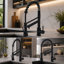 ROBOHIGH Kitchen Faucet Side Spray