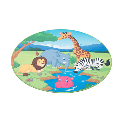 Area Rug