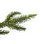 Couronne de Noël artificielle en sapin Roosevelt - 24 pouces non éclairée