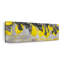 Citrons mûres sur toile-1416450015
