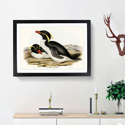 Crested Penguins by Elizabeth Gould - Framed Print