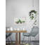 Fancy Potted Cactus by Parvez Taj - Single Picture Frame Painting-38598663