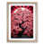 Oak Framed selected