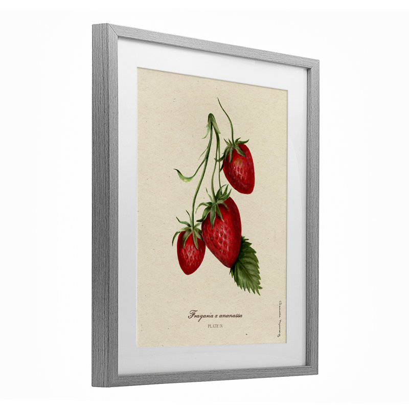 «Strawberry Fruit Portrait», reproduction encadrée sous verre, conception de Danielle Murray, H 21 po x l 17 po