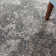 Darleen Abstract Indoor Rug