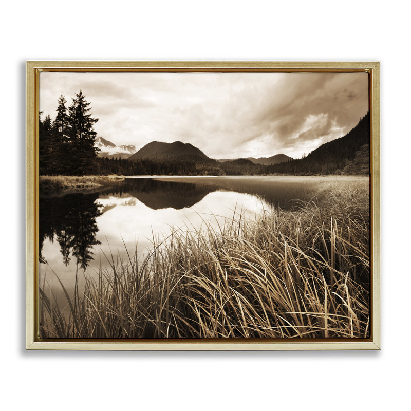 Toile flottante encadrée, sépia, lac, par Danita Delimont, Cadre flottant métallique doré, H 17 po x l 21 po