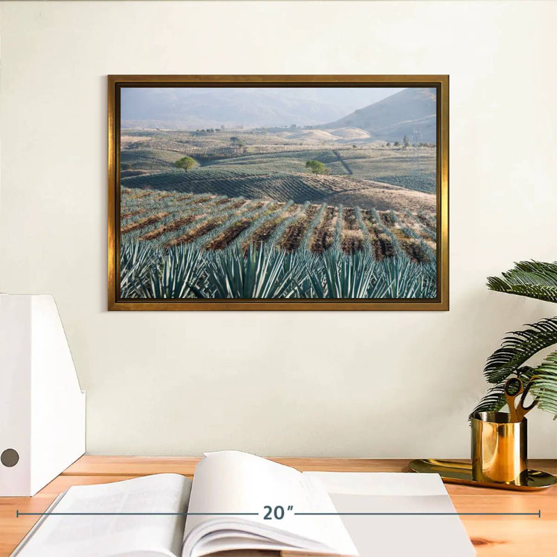 Téquila Jalisco Agave Field, 13 po x 9 po, Cadre flottant doré