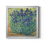 Iris en fleurs I-Premium, reproduction encadrée - prête à être accrochée-1948486467-1948296198-1948486471