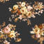Wild Rose Peel & Stick Wallpaper-1507394287