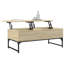 Annabella Lift Top Sled Coffee Table with Storage-1910653885-1910653872