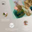 Ensemble de 2 décorations murales Boho Gilded Botanical Dream par Art Remedy, 20 x 24-670390619-670390622