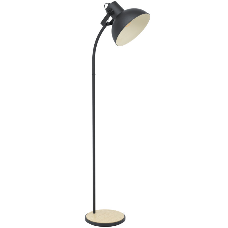 Roiguez 160cm Arched Floor Lamp, Black