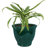 Berlina Round Imperial Ceramic Outdoor Planter-2034820463-2096375820