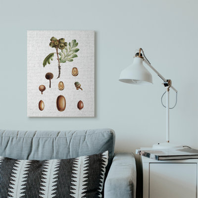 «Tree Seeds Nuts Fall Autumn Seasonal Design», impression