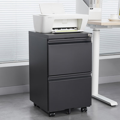 Classeur de rangement de 15,35 po Mathusan
