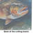 Brown Trout Glass Cutting Board Large