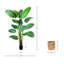 Madagascar Faux Palm Tree in Fiberglass/Cement/Bamboo Planter