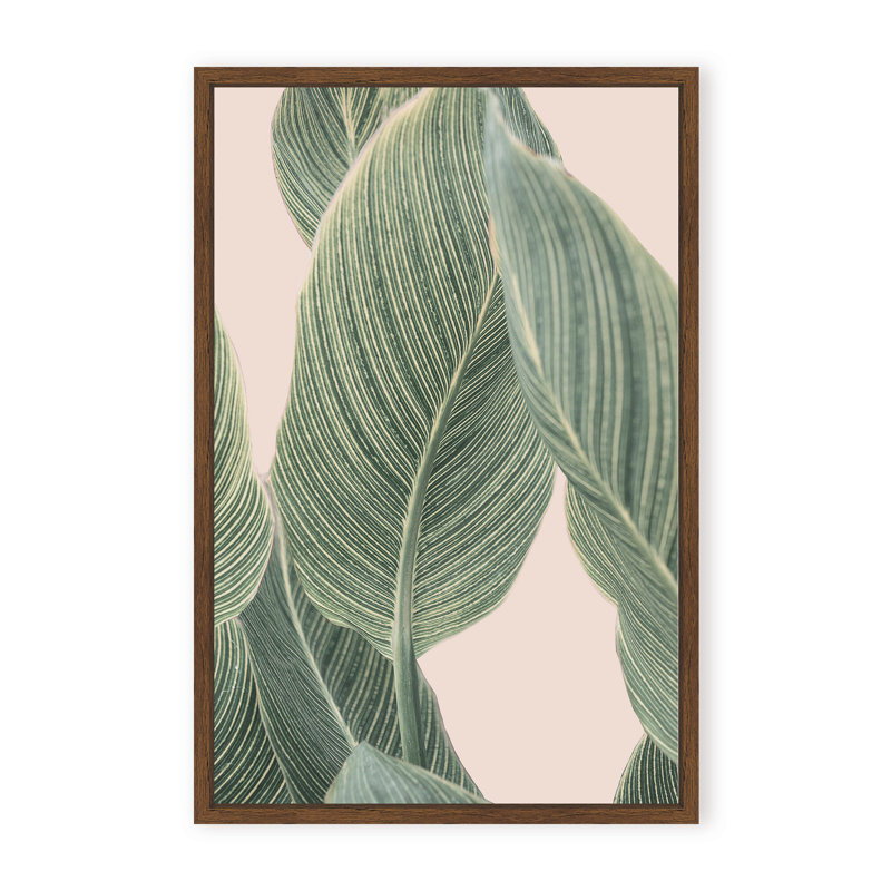 Coastal Retreat Calla Leaf by  - Picture Frame Graphic Art on Paper, Framed Canvas, Brown, 48" H x 32" W x 2.375" D