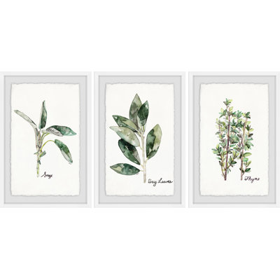 " Herb Trio Triptych " by Rachel Byler 3 - Pieces