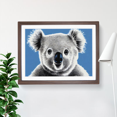 Alluring Koala Bear - Single Picture Frame Print