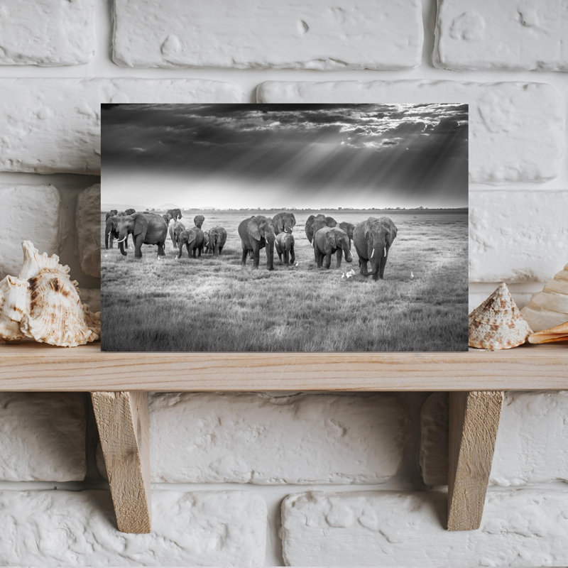 Elephants Under Sun Rays Abstract Contemporary Bird Landscape Nature Wall Art Print by Jeffrey C. Sink - 1 Piece Wrapped Canvas Wall Art