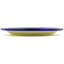 Stoneware Dinner Plate