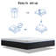 Matelas en mousse viscoélastique gélifiée ferme 14 po Alwyn Home Shanitaortia-1329524481