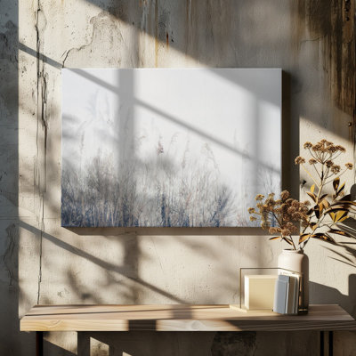 Paysage de roseaux et d'herbes